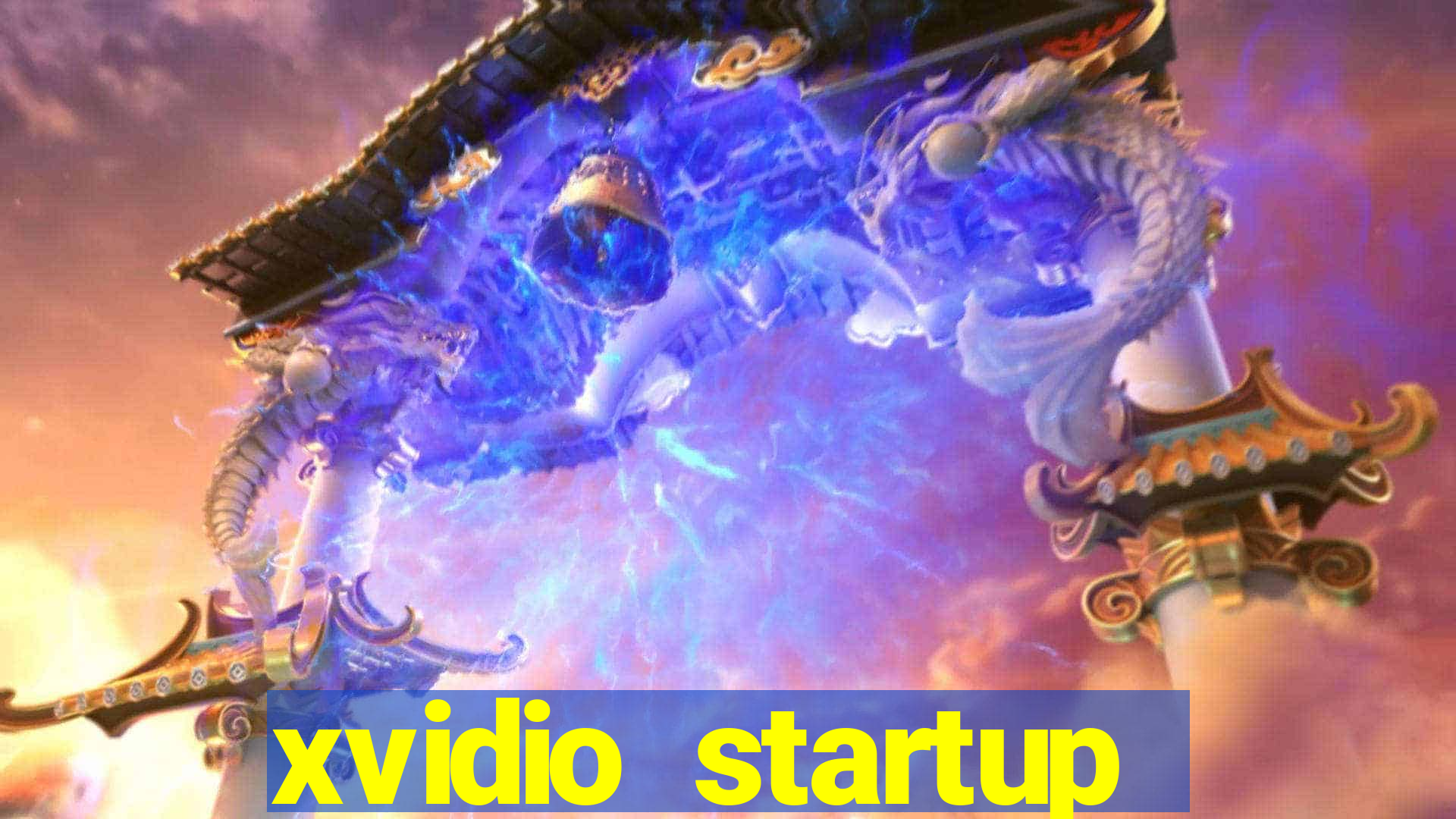 xvidio startup brasil 2024